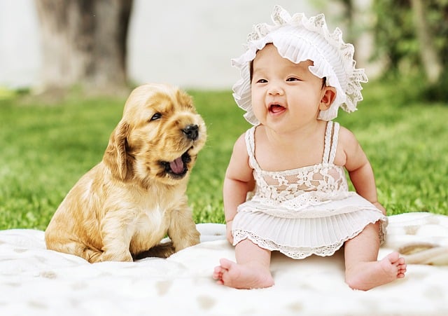 Young Puppy and Baby sitting on a blanket outside on the grass